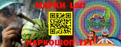 apvp Бердск