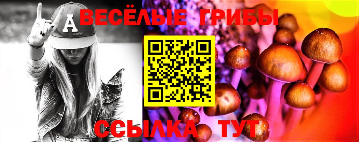 Псилоцибиновые грибы мицелий Белорецк